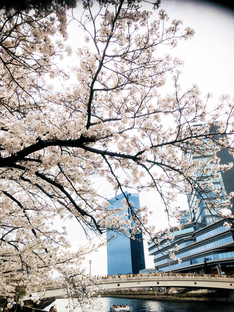 Osaka Castle Park