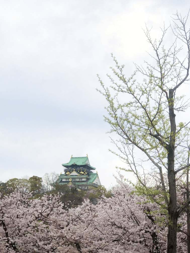 Osaka Castle Park