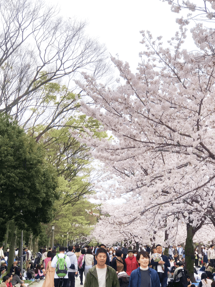 Osaka Castle Park