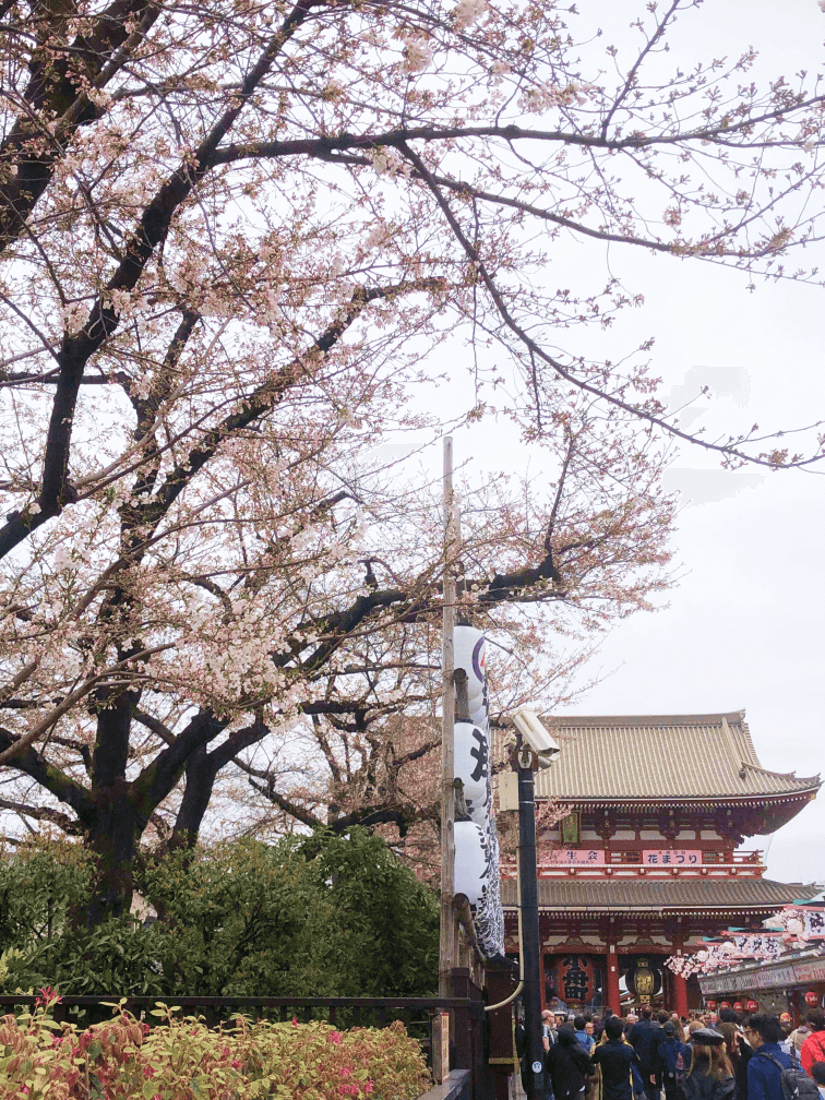 ⚡️ Kaminari-mon Gate