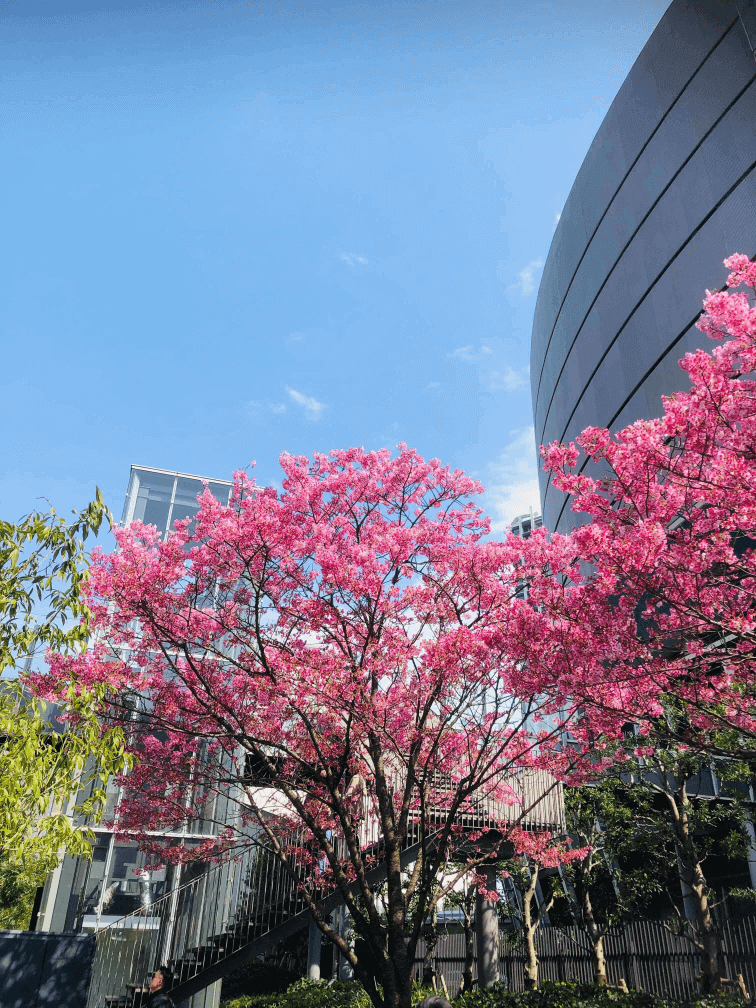 Toyosu, Koto, Tokyo