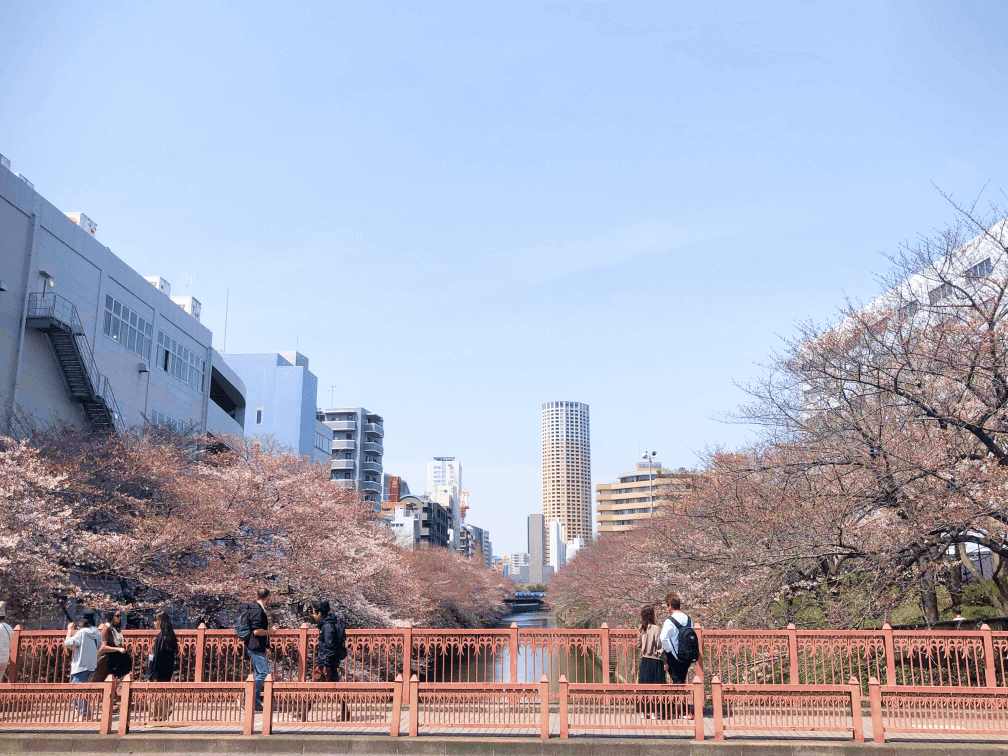 Meguro River, Tokyo